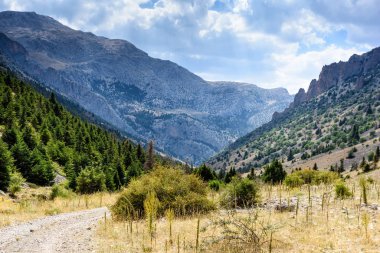 Türk Ulusal Parkı 'nda yaz günü ağaçlarla kaplı dağ manzarası