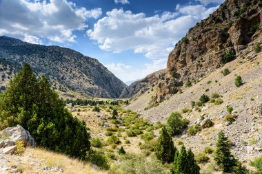 Türk Ulusal Parkı 'nda yaz günü ağaçlarla kaplı dağ manzarası