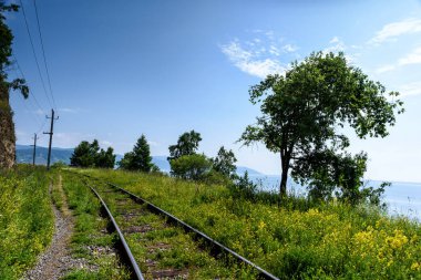 çevre-Baykal demiryolu Baykal Gölü kıyısında.