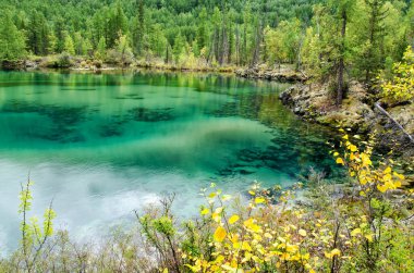 Sonbahar ormanlarında yeşilimsi suyu olan küçük orman gölü, lav gölü.
