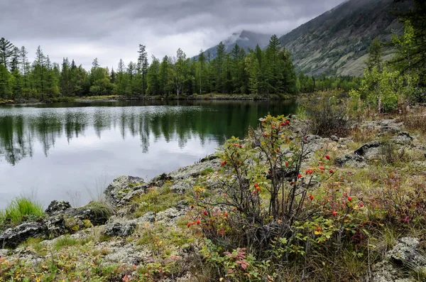 在一座山湖的岸边,有石头、岩石和森林.多云的天，有倒影，自然光 — 图库照片