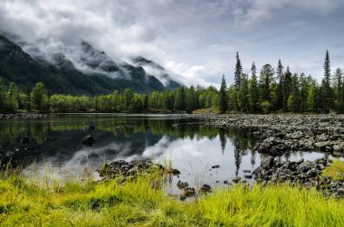 Bir dağ gölünün kıyısında, taşlar ve orman. Bulutlu gün, doğal ışık