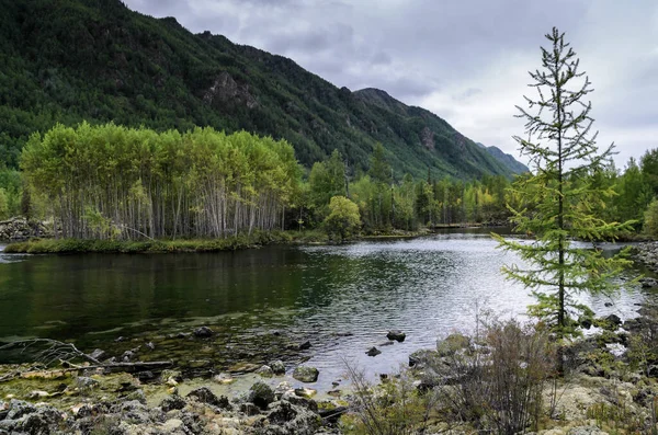 Na margem de um lago de montanha, pedras, hummocks e floresta. dia nublado com reflexão, luz natural — Fotografia de Stock