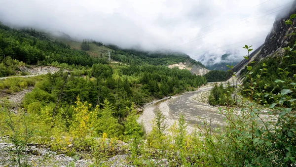 Am Ufer eines Gebirgsflusses, Steine, Buckelpisten und Wald. sonniger Tag, natürliches Licht — Stockfoto