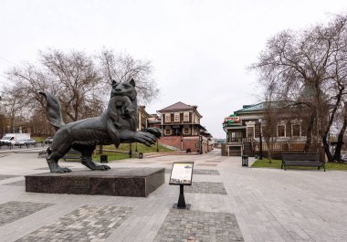 IRKUTSK, RUSSIA - 27 Nisan 2020: Babr Heykeli Irkutsk şehrinin Sibirya kaplan sembolü