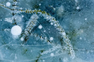 Baykal Gölü 'nün güzel buzu soyut çatlaklar ve derin yeşil bitkilerle