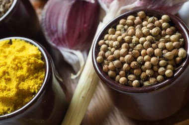 Baharat ve otlar seramik kase. Kişniş ve curcuma seasoni