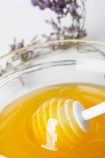 Fresh  honey around. close up — Stock Photo, Image
