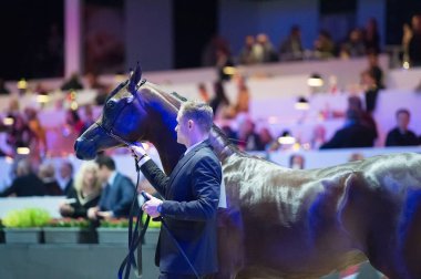 Arap atı Dünya Şampiyonası, Paris Nord Villepente. PARI