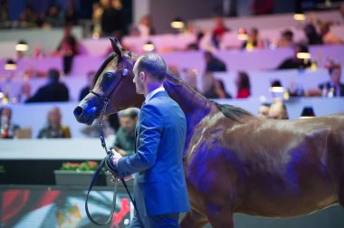 Arap atı Dünya Şampiyonası, Paris Nord Villepente. PARI