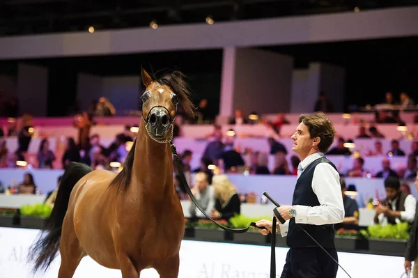 Campionato del mondo di cavalli arabi, Nord Villepente a Parigi. PARI — Foto Stock