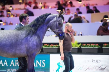 Arap atı Dünya Şampiyonası, Paris Nord Villepente. PARI