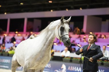 Arap atı Dünya Şampiyonası, Paris Nord Villepente. PARI