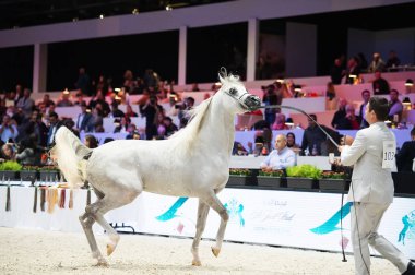 Arap atı Dünya Şampiyonası, Paris Nord Villepente. PARI