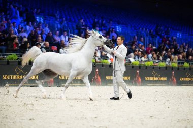 Arap atı Dünya Şampiyonası, Paris Nord Villepente. PARI