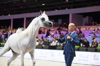 Arap atı Dünya Şampiyonası, Paris Nord Villepente. PARI