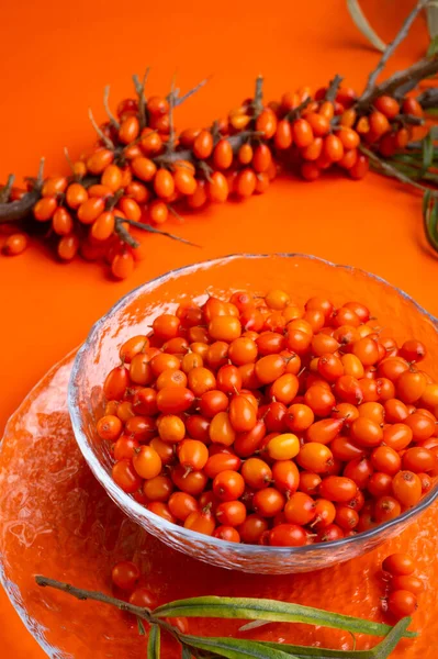 Ripe Sea Buckthorn Berries Branch Orange Background Close — Stock Photo, Image