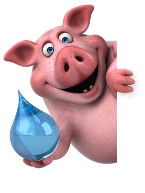 domuz holding kartı ve bırak 