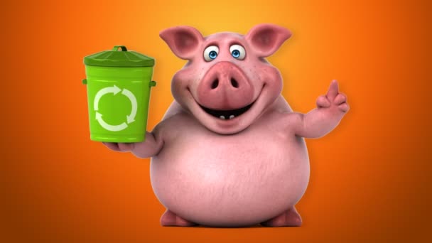 Смішна свиня з бін — стокове відео