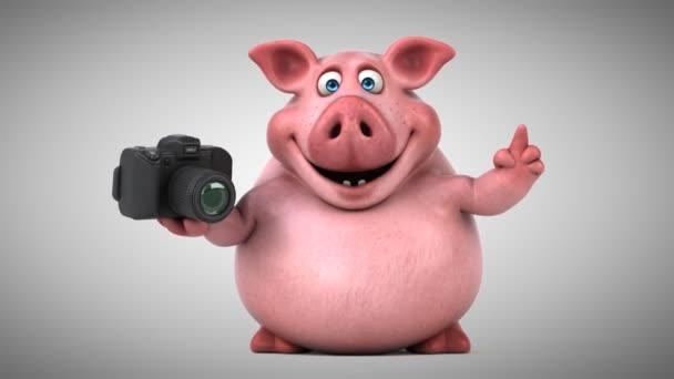 Porco engraçado com câmera — Vídeo de Stock