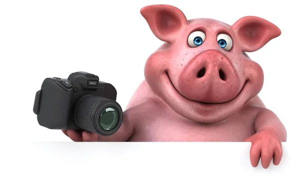 Porc tenant appareil photo — Photo