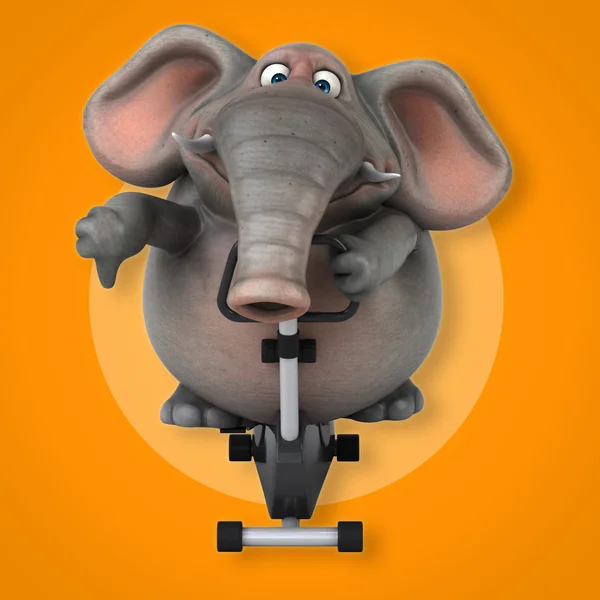 Fun elephant on sport bicycle — Stock Photo, Image