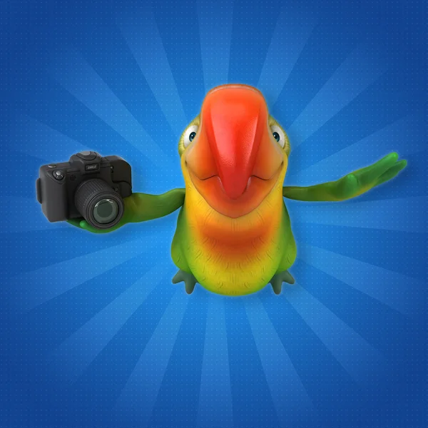Papagáj gazdaság kamera — Stock Fotó