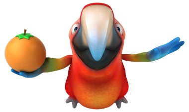  Turuncu tutan papağan 