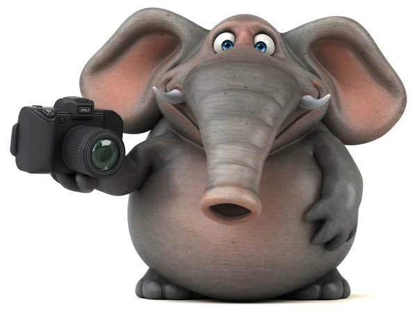 Fun éléphant tenant caméra — Photo