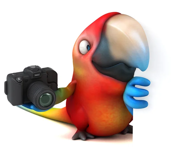 Parrot holding camera — Stock Photo, Image