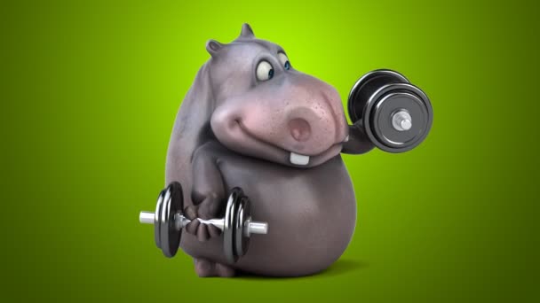 Funny hippo working out — Stock Video © julos #129175636