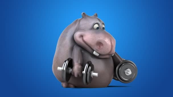 Divertido hipopótamo de trabajo — Vídeos de Stock