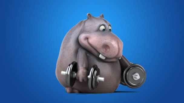 Funny hippo working out — Stock Video © julos #129175962 Funny hippo working out — Stock Video © julos #129175962