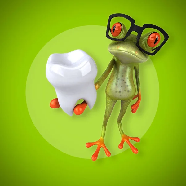 Frog holding tooth — Stock Photo, Image