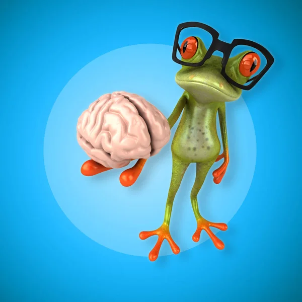 Žába hospodářství mozek — Stock fotografie
