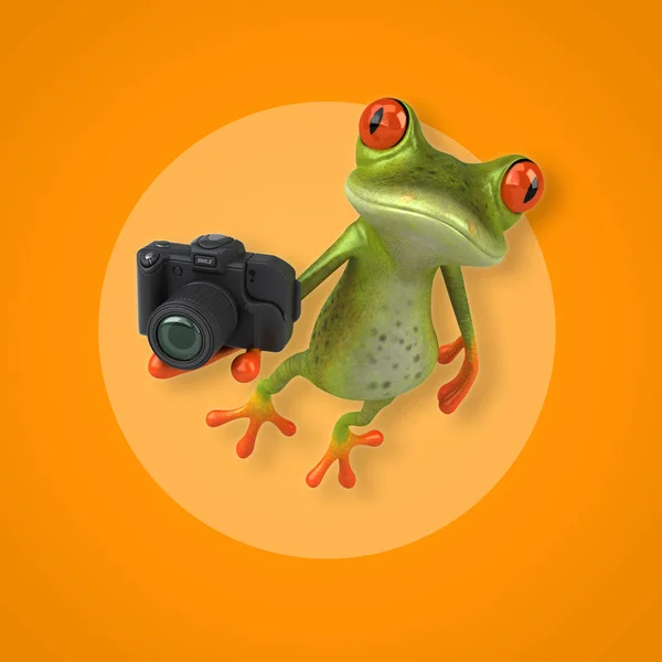 Kurbağa holding kamera — Stok fotoğraf