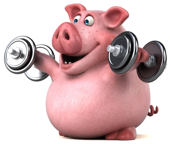 Funny  pig holding  dumbbells — Stock Photo, Image