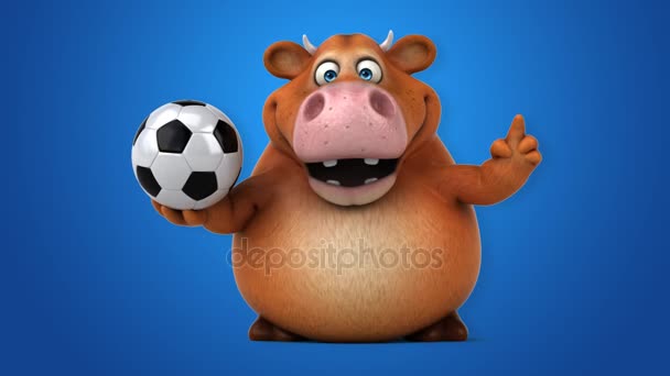 Kráva držení míče — Stock video