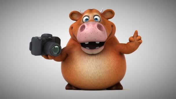 Grappige koe bedrijf camera — Stockvideo