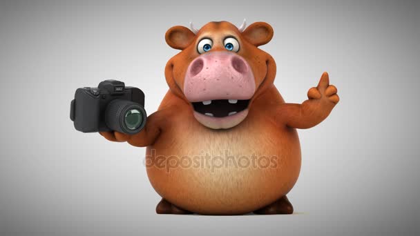 Funny kráva hospodářství fotoaparát
