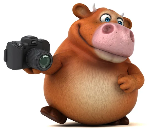 Fun cow holding camera — Stock Photo, Image