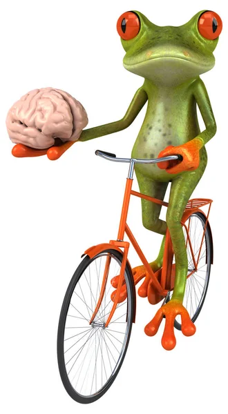青蛙控股大脑 — 图库照片