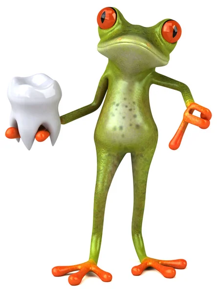 Frog holding tooth — Stock Photo, Image