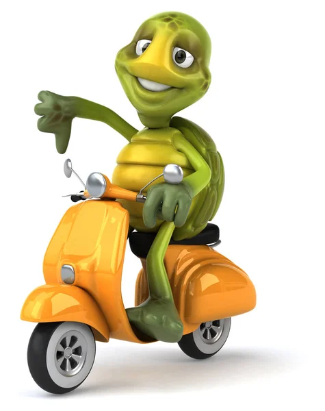 Zabawne żółwia na rowerze — Zdjęcie stockowe