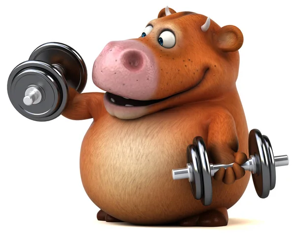 Fun cow with barbells — Stock Photo, Image