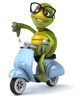  Bisiklet üzerinde turtle 