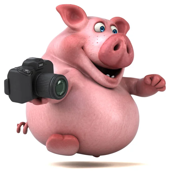 Eğlenceli domuz holding kamera — Stok fotoğraf