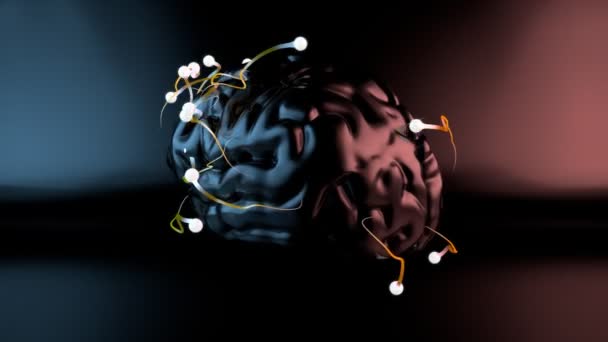 cerveau humain - Animation 