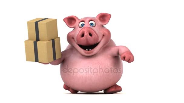 Boxen für Schweine — Stockvideo