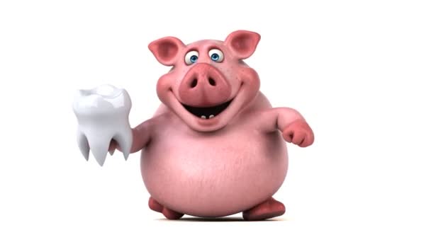 Funny pig with tooth — Stock Video